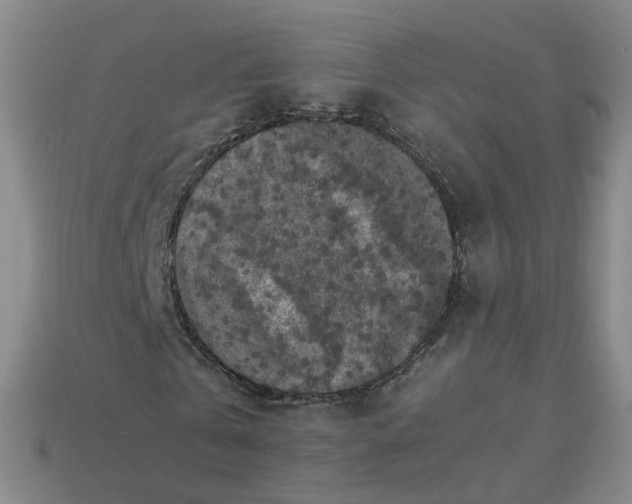 X0000113250769200910011345