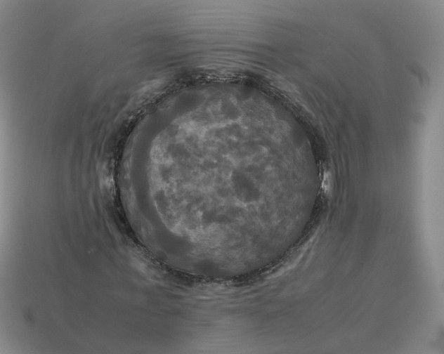 X0000113250771200910011345