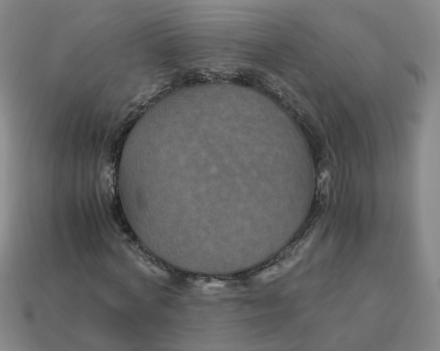 X0000113250772200910011345