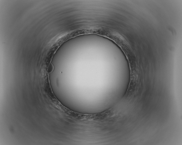 X0000113250773200910011345