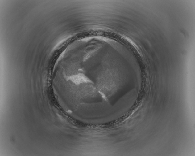 X0000113250775200910011345