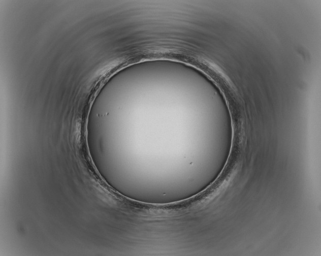 X0000113250777200910011345