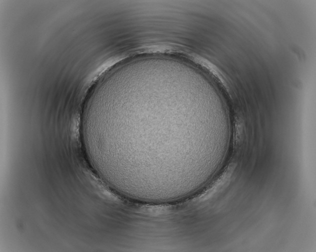 X0000113250778200910011345