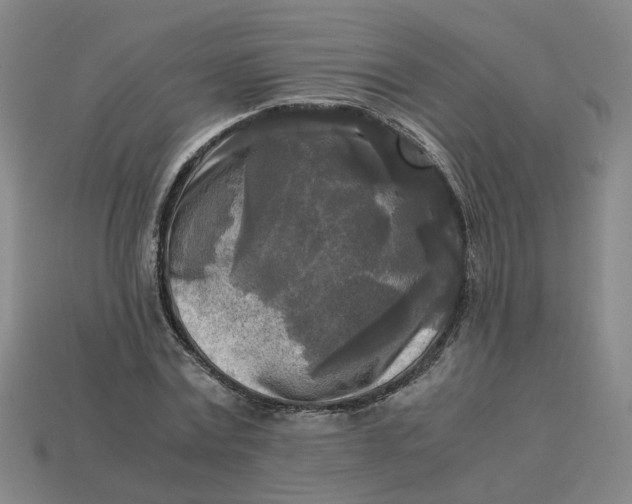 X0000113250779200910011345