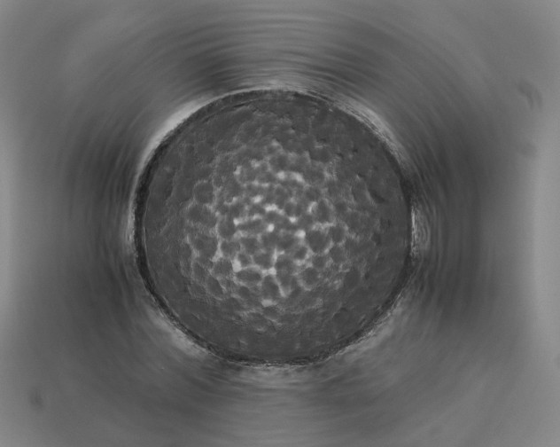 X0000113250780200910011345