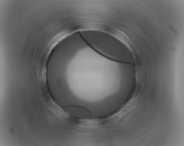 X0000113250781200910011345