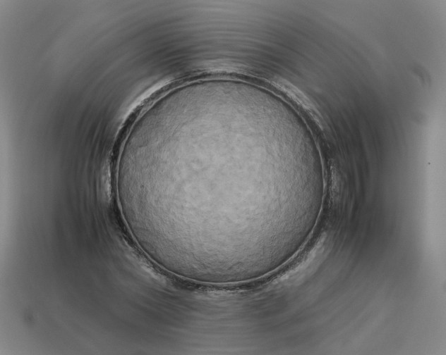 X0000113250782200910011345