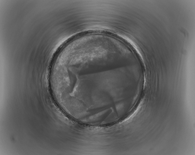 X0000113250783200910011345