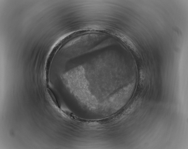 X0000113250784200910011345