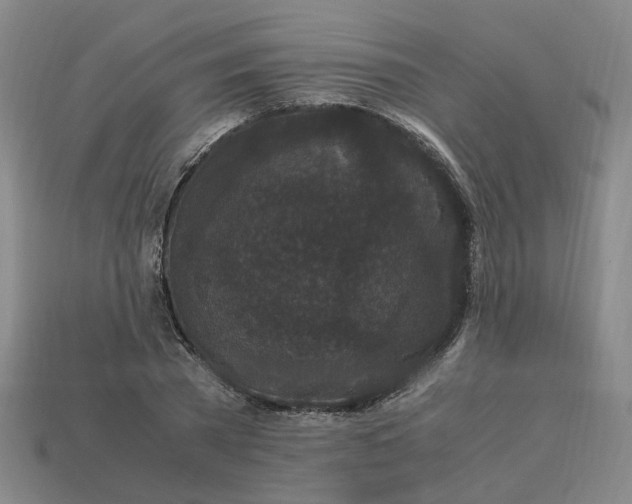 X0000113250785200910011345