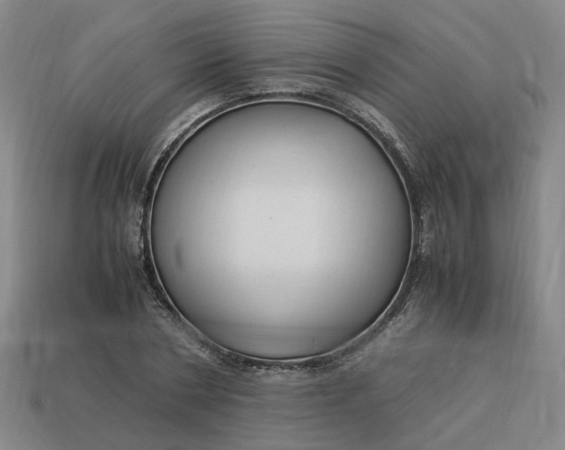 X0000113250786200910011345