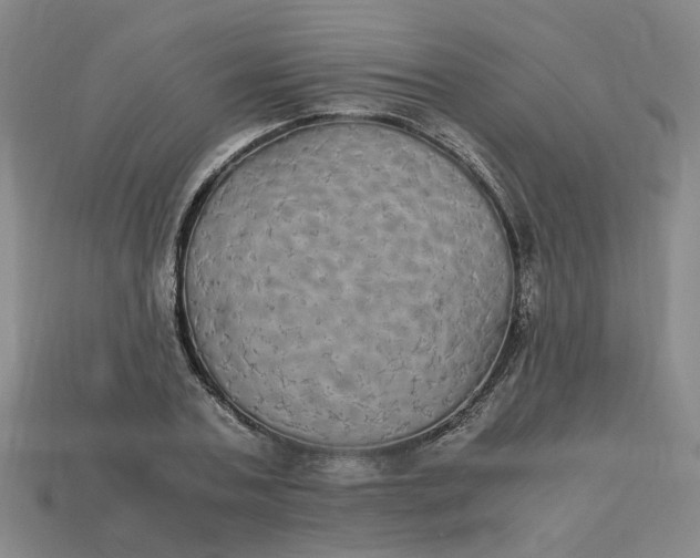 X0000113250787200910011345