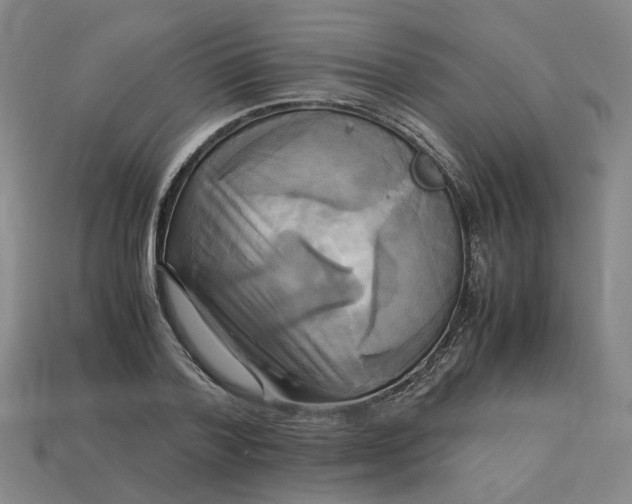 X0000113250788200910011345