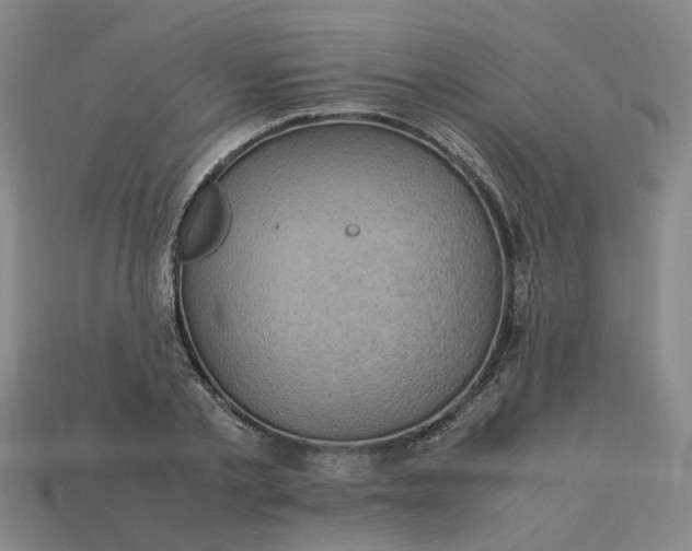 X0000113250789200910011345