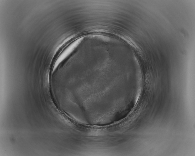 X0000113250790200910011345