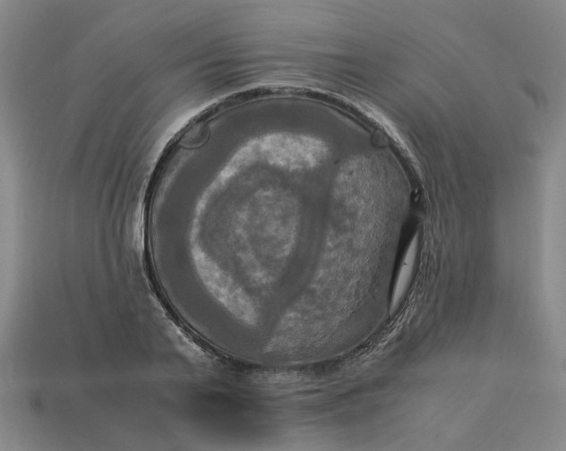 X0000113250791200910011345