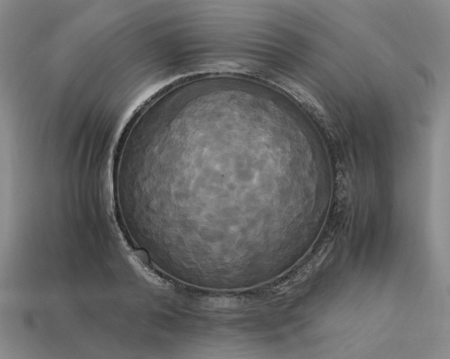 X0000113250792200910011345