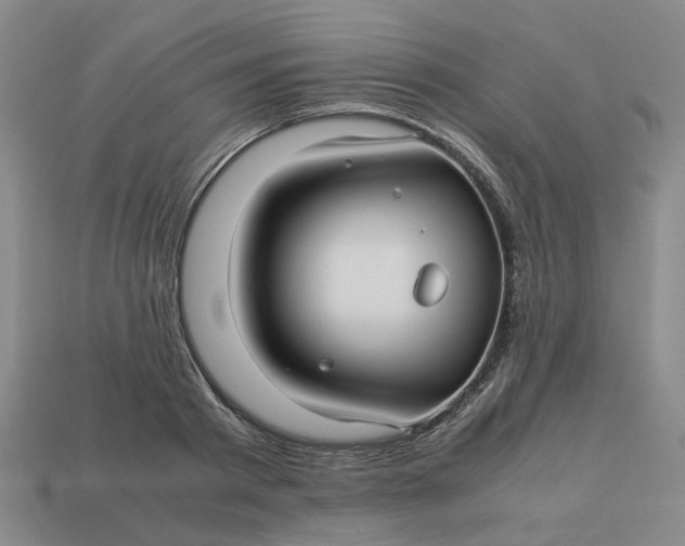 X0000113250793200910011345