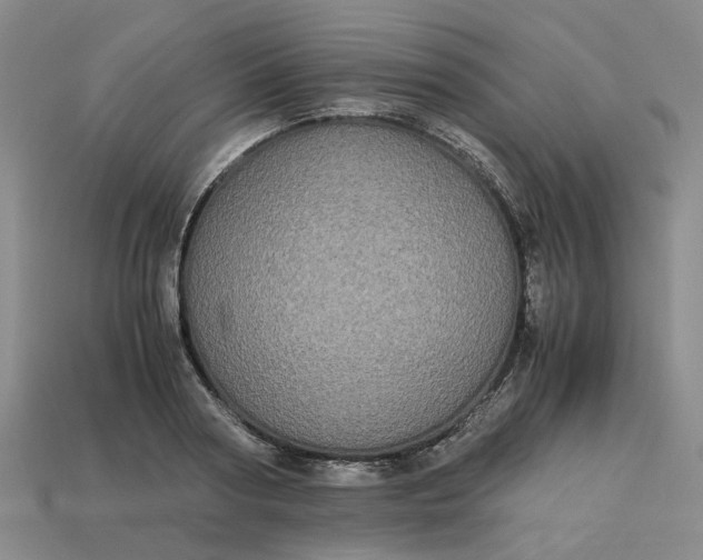 X0000113250794200910011345