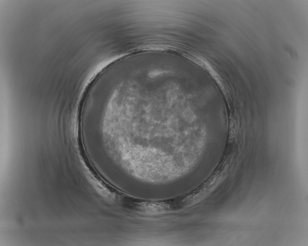 X0000113250795200910011345