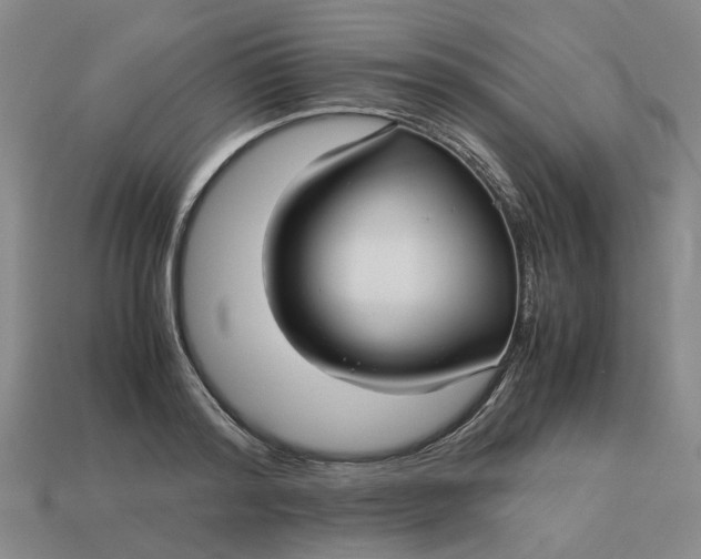 X0000113250796200910011345