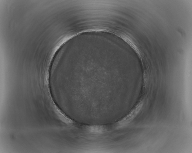 X0000113250797200910011345