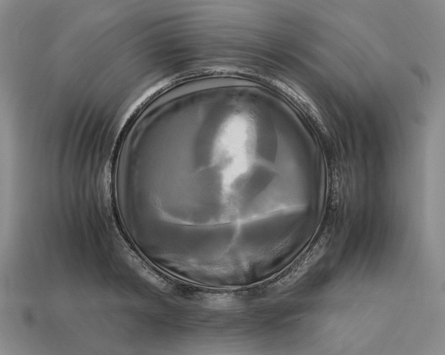 X0000113250798200910011345