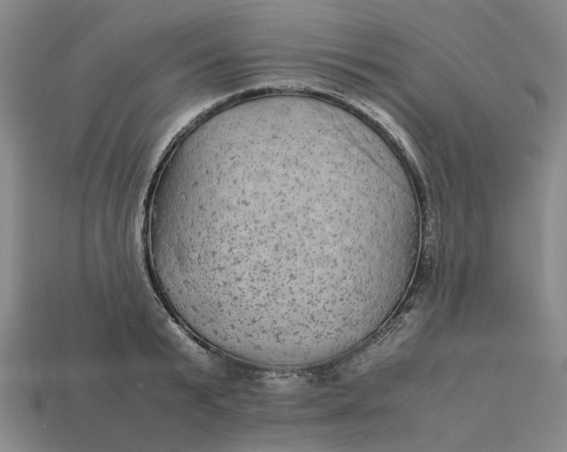 X0000113250799200910011345