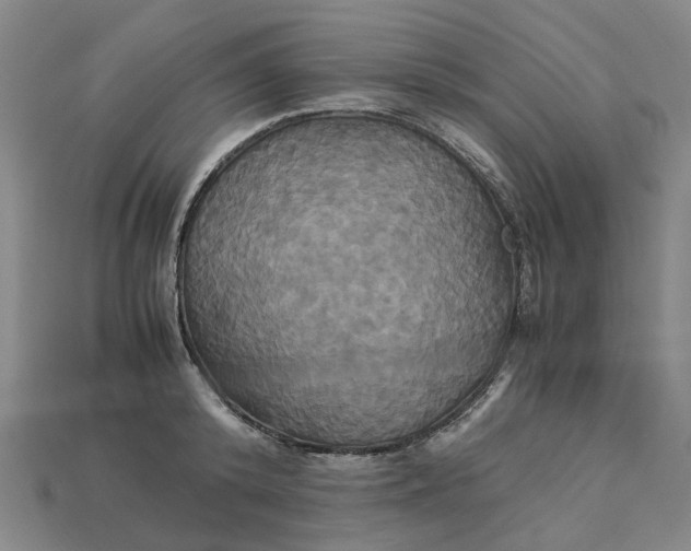 X0000113250800200910011345