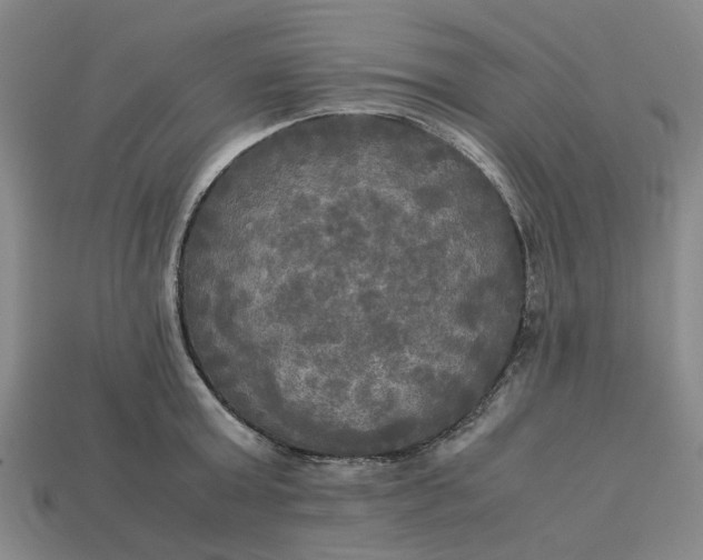 X0000113250803200910011345