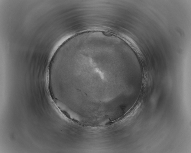 X0000113250804200910011345