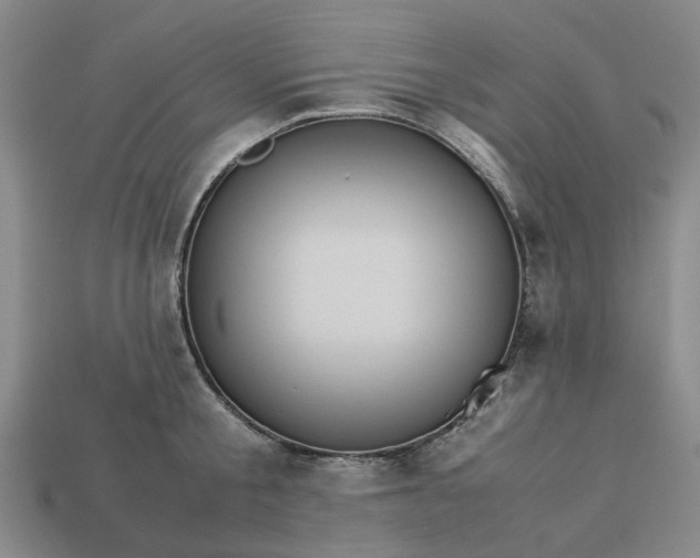 X0000113250805200910011345