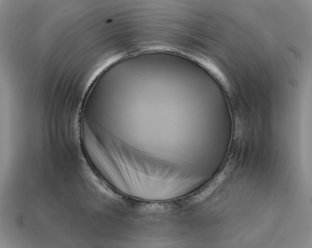 X0000113250806200910011345