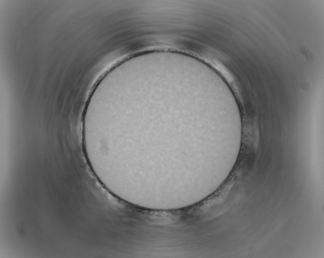 X0000113250807200910011345