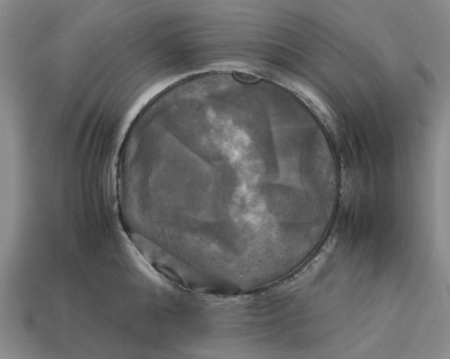 X0000113250808200910011345