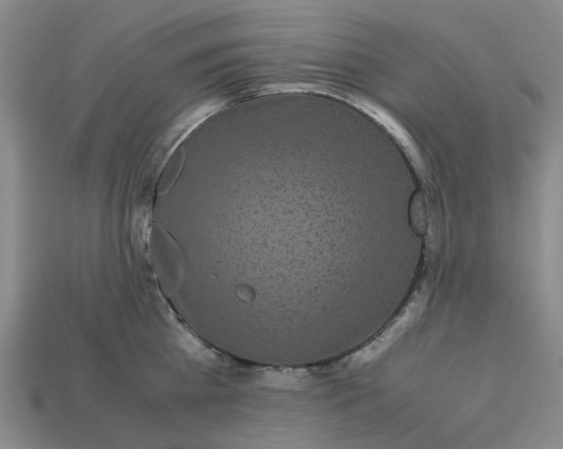 X0000113250809200910011345