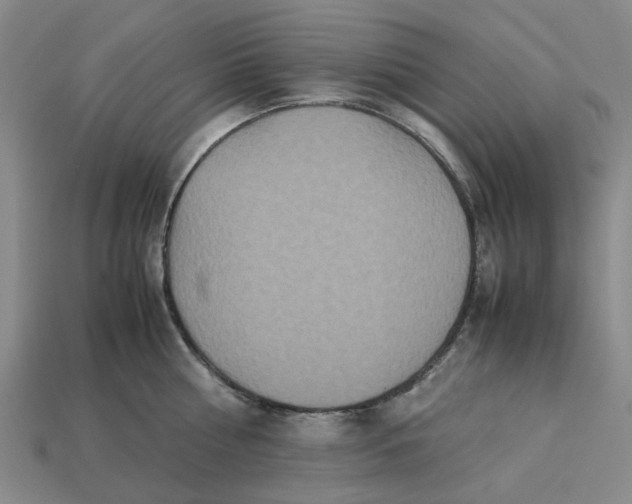 X0000113250810200910011345