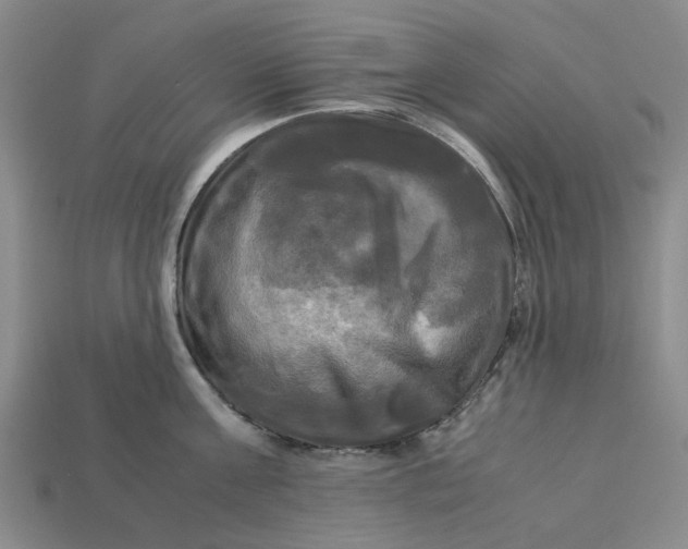 X0000113250811200910011345