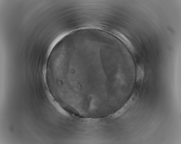 X0000113250812200910011345