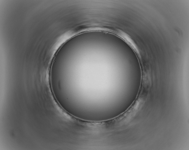 X0000113250813200910011345