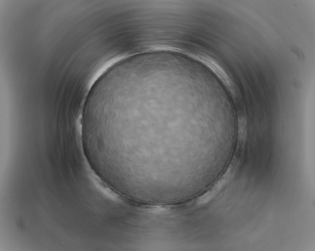 X0000113250814200910011345