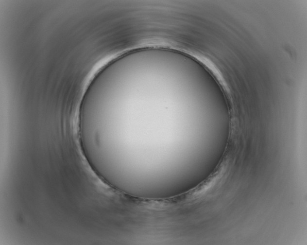 X0000113250815200910011345