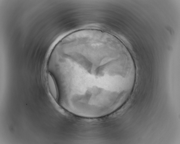 X0000113250816200910011345