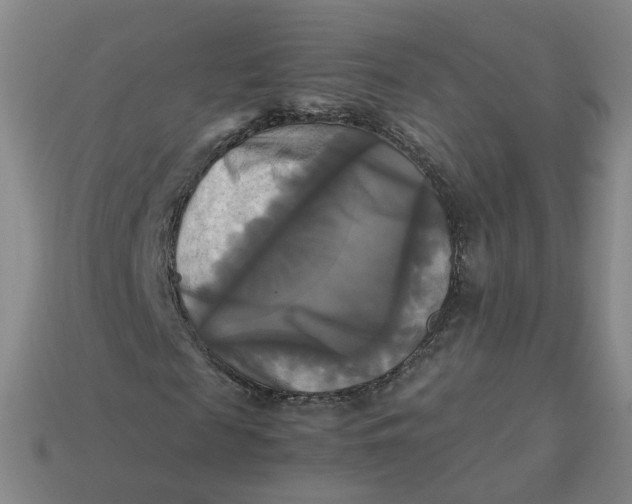 X0000113250817200910011344