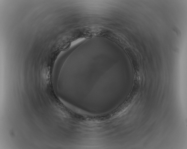 X0000113250818200910011344