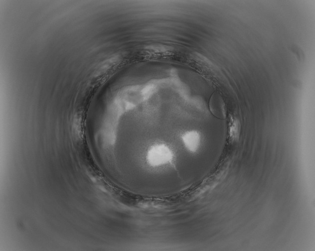 X0000113250819200910011344