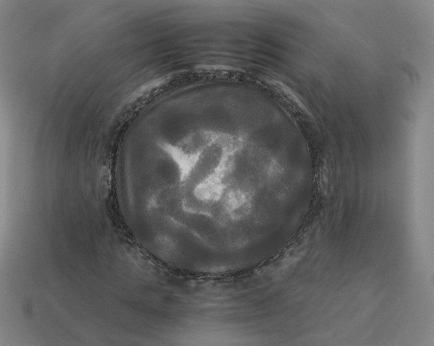 X0000113250821200910011344