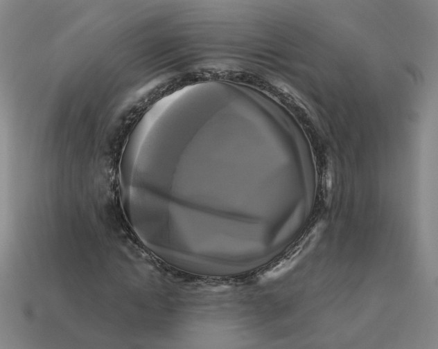 X0000113250822200910011344