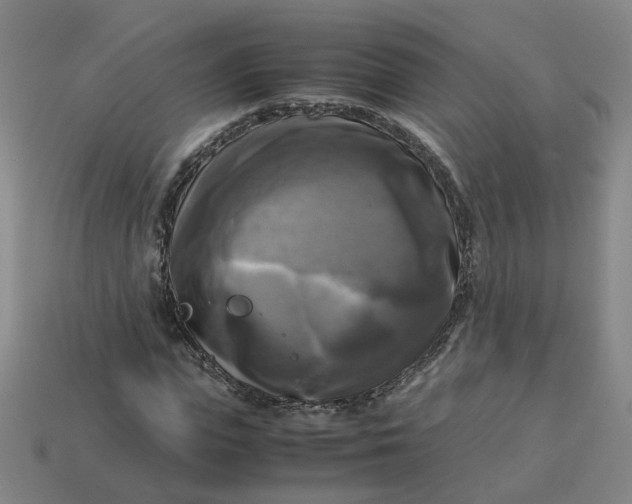 X0000113250823200910011344