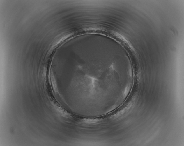 X0000113250825200910011344